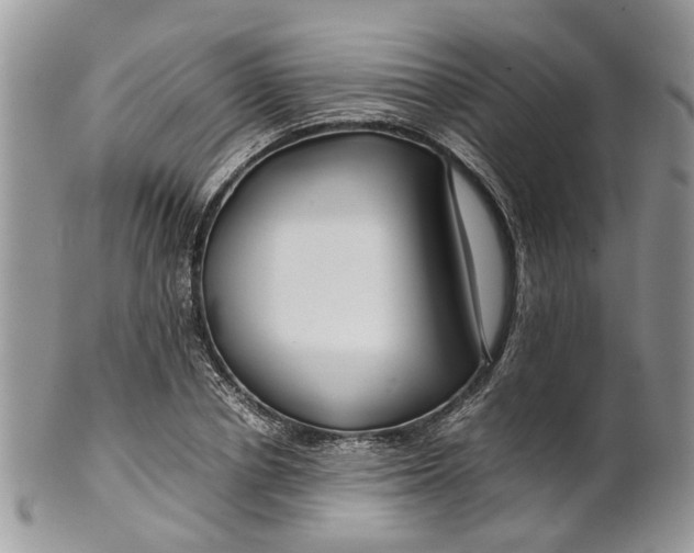 X0000099510834200806051145