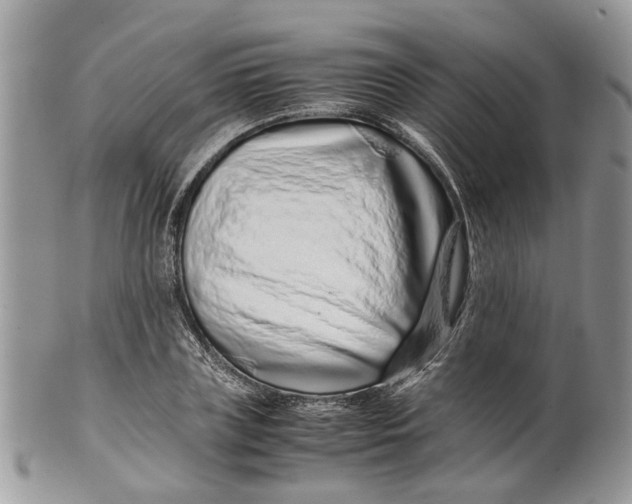 X0000099510835200806051145