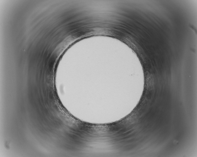 X0000099510836200806051145