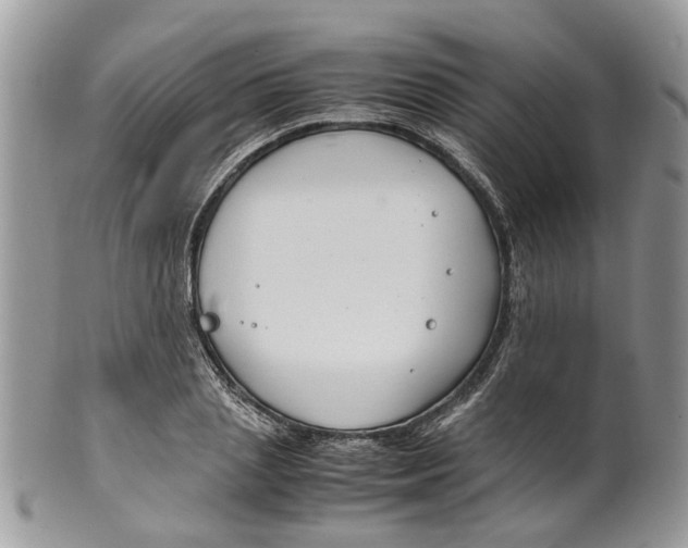 X0000099510837200806051145