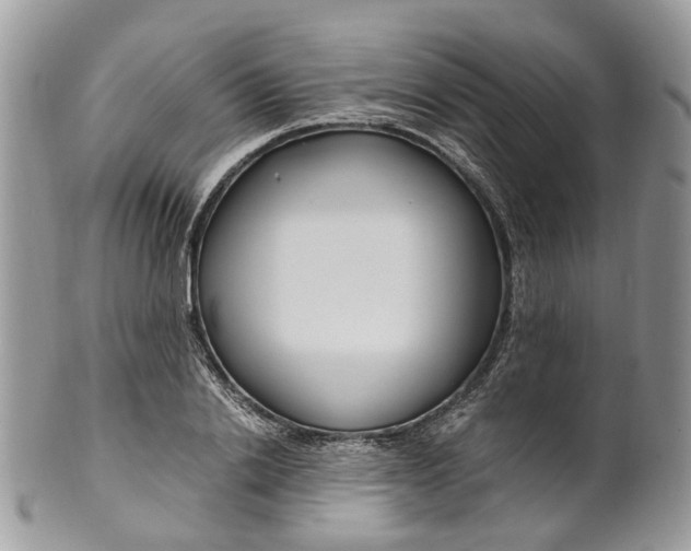 X0000099510838200806051145