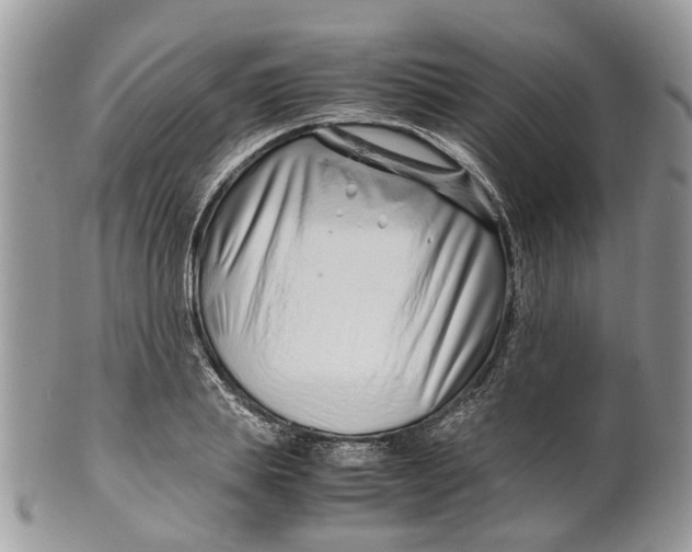 X0000099510839200806051145