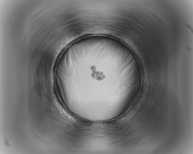 X0000099510840200806051145