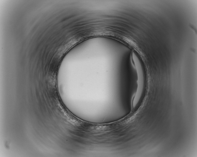 X0000099510841200806051145