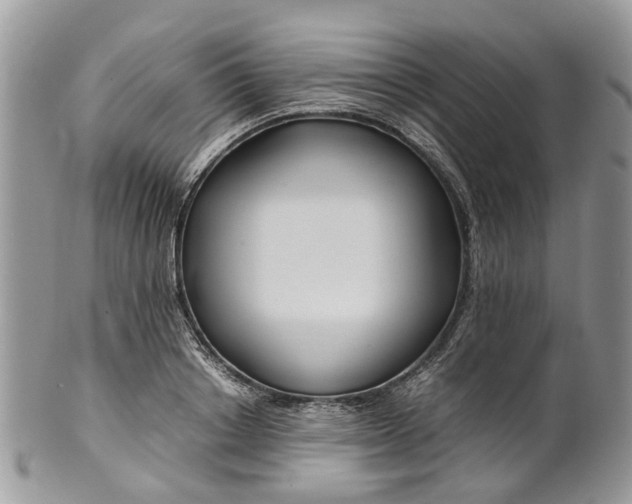 X0000099510842200806051145