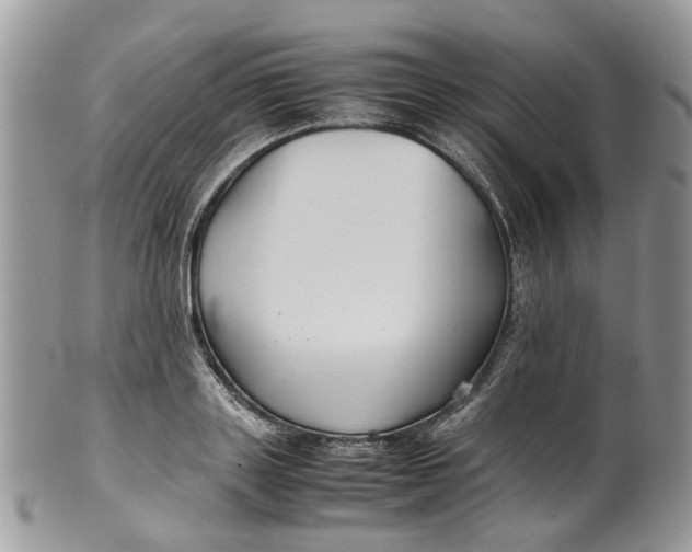 X0000099510843200806051145