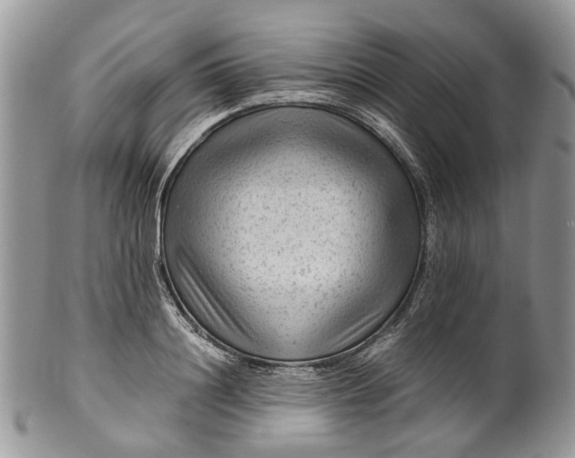 X0000099510844200806051145