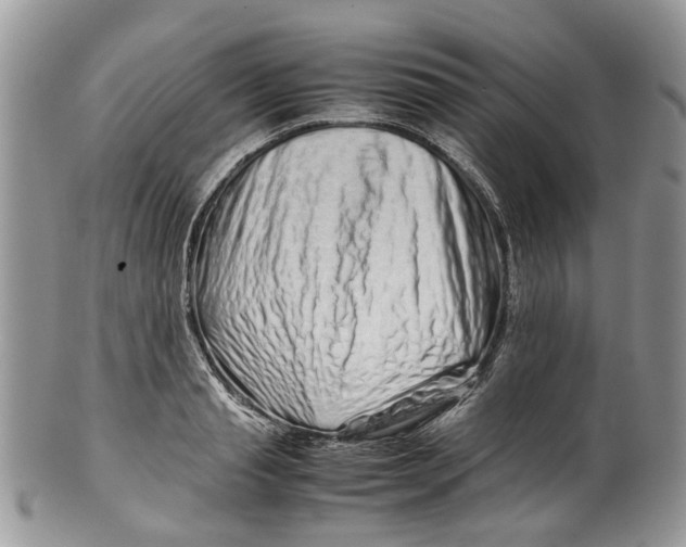 X0000099510845200806051145