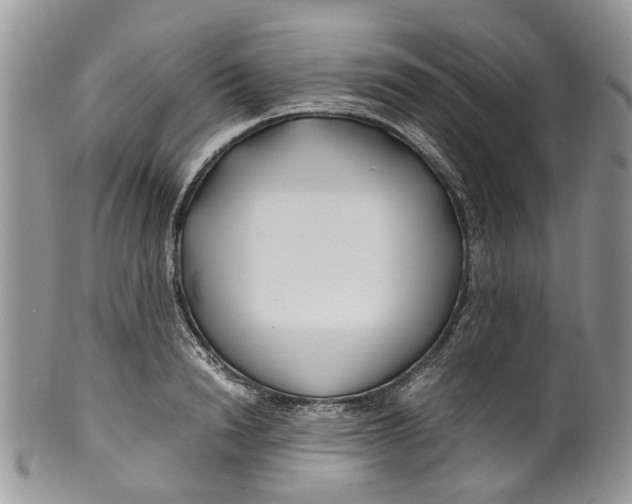 X0000099510846200806051145