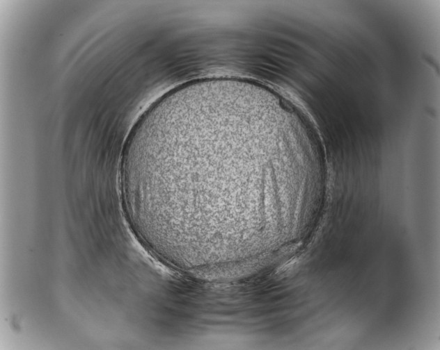 X0000099510847200806051145