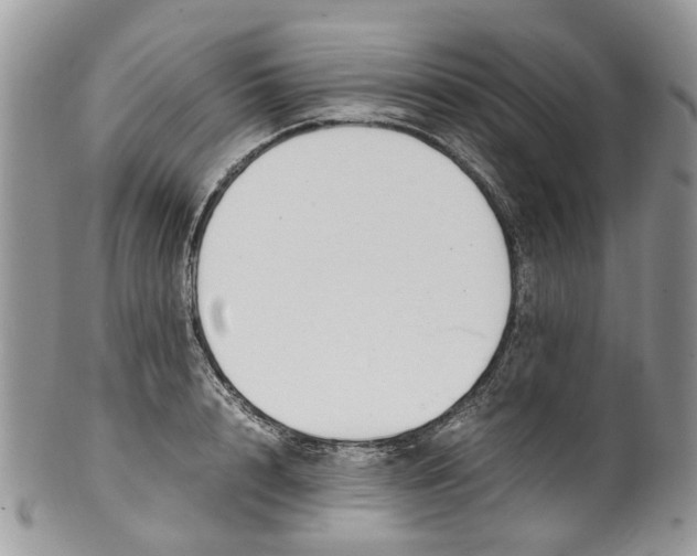 X0000099510848200806051145