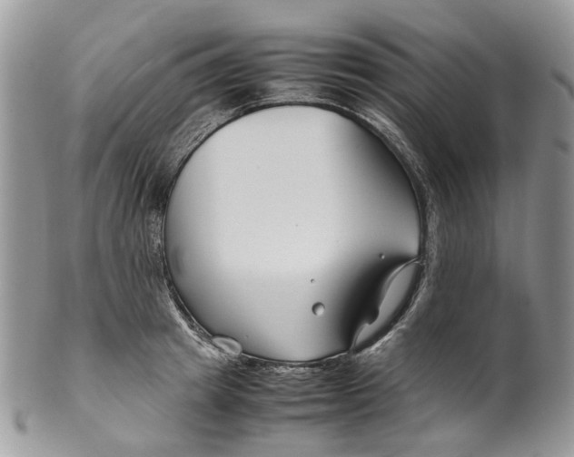 X0000099510849200806051145