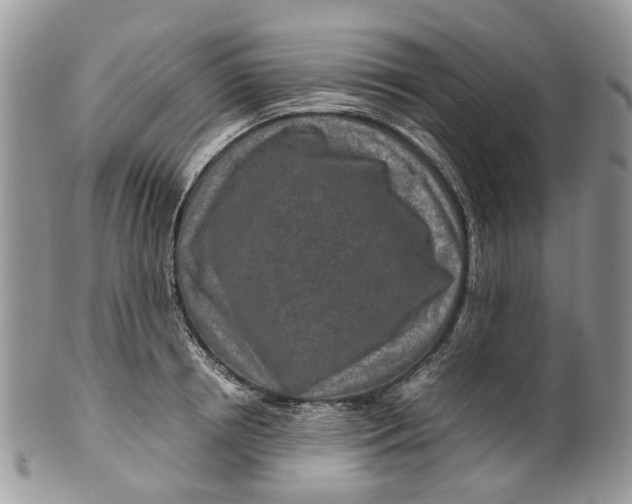 X0000099510850200806051145