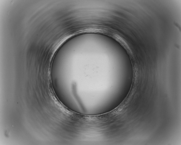 X0000099510852200806051145