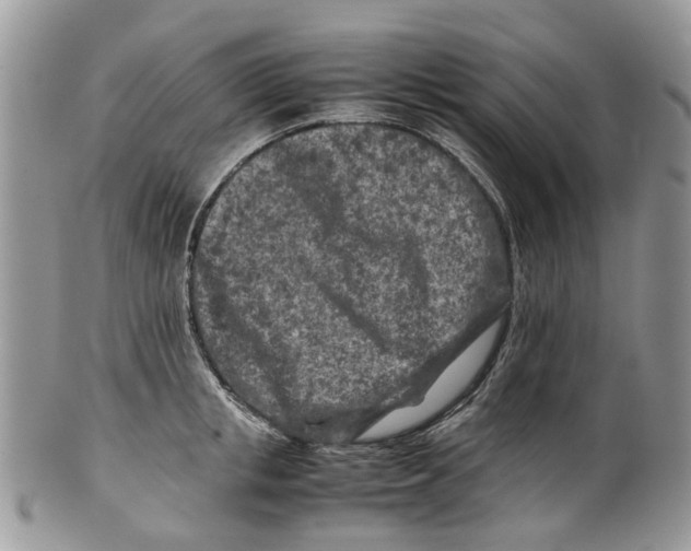 X0000099510853200806051145