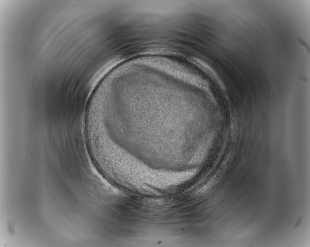 X0000099510855200806051145