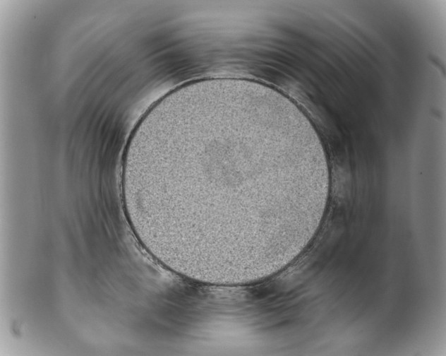 X0000099510856200806051145