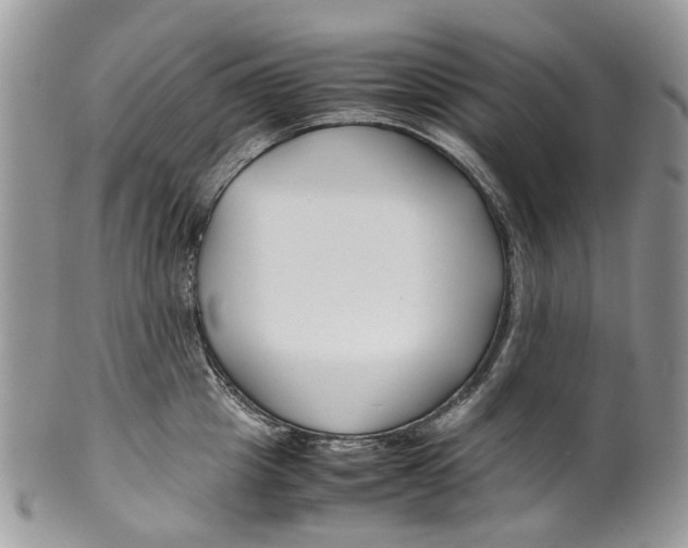 X0000099510857200806051145