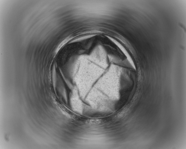 X0000099510858200806051145