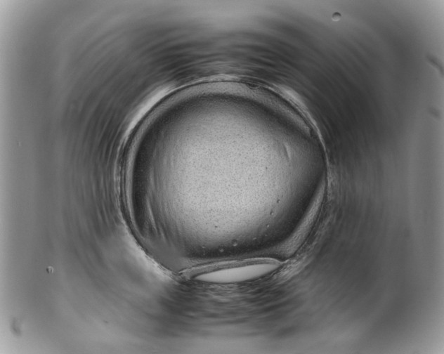 X0000099510859200806051145