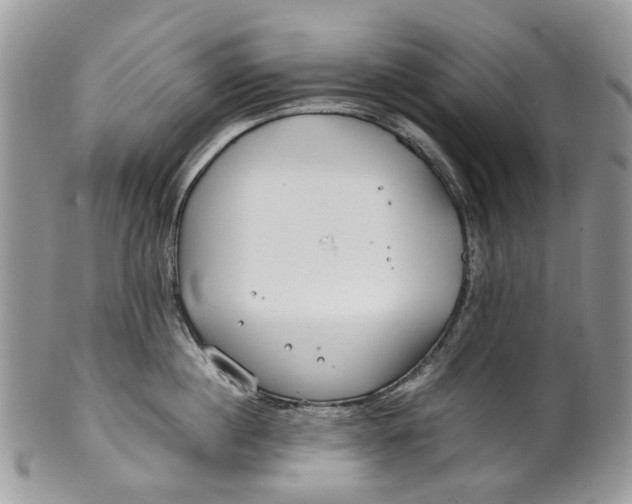 X0000099510860200806051145