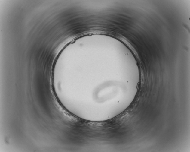 X0000099510861200806051145