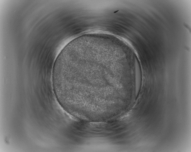 X0000099510863200806051145