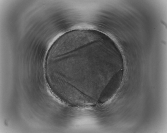 X0000099510864200806051145