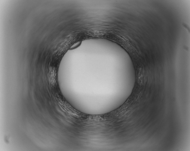 X0000099510866200806051145