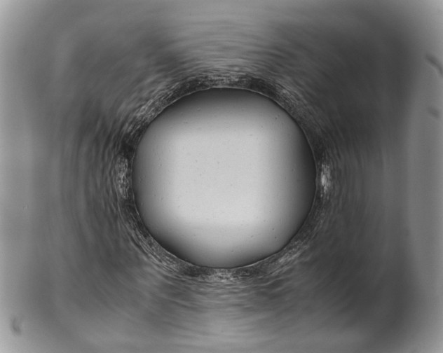 X0000099510867200806051145