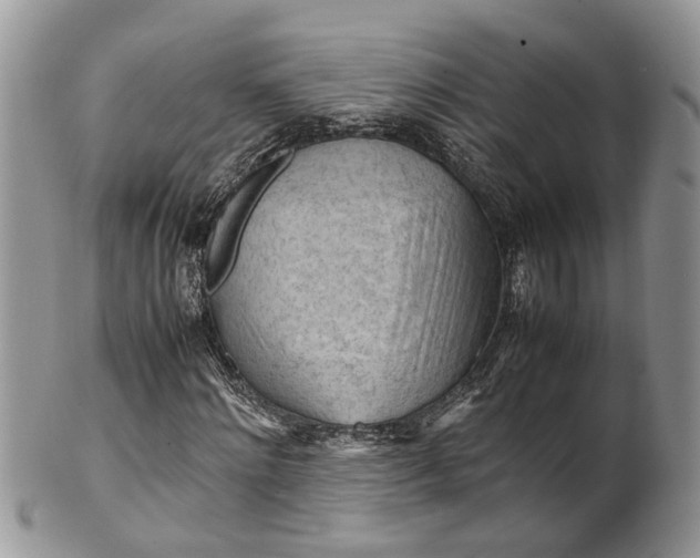 X0000099510868200806051144