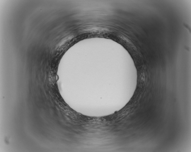 X0000099510869200806051144