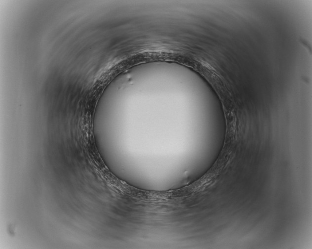 X0000099510870200806051144