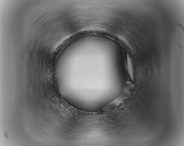 X0000099510872200806051144