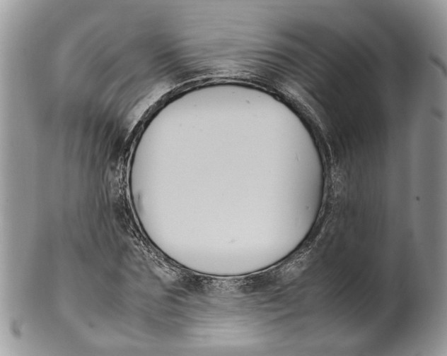 X0000099510875200806051144