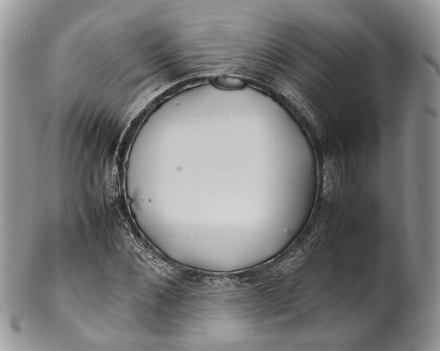 X0000099510876200806051144