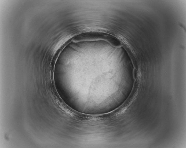 X0000099510877200806051144