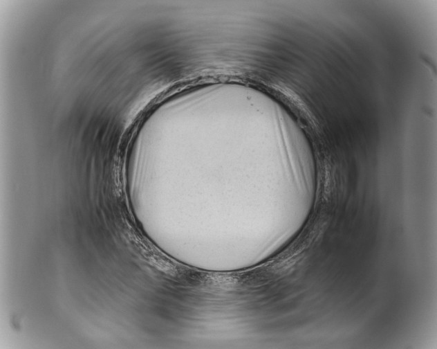 X0000099510878200806051144