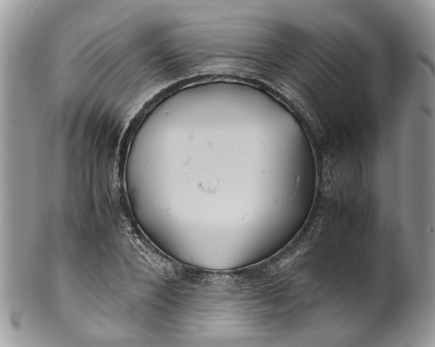 X0000099510880200806051144