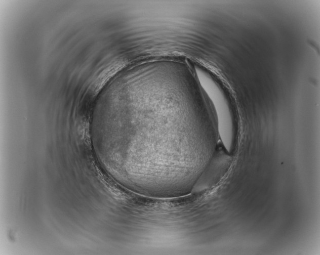 X0000099510881200806051144