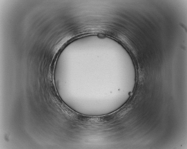 X0000099510883200806051144