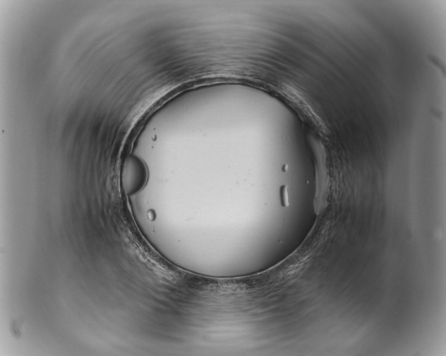 X0000099510884200806051144