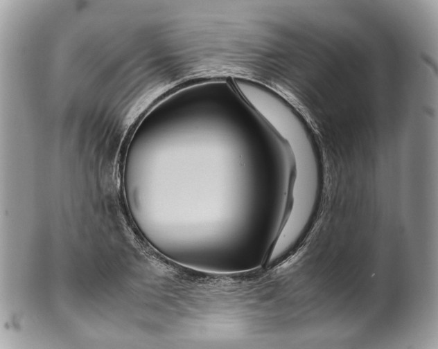 X0000099510885200806051144