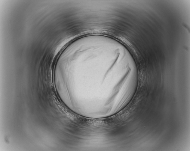 X0000099510886200806051144