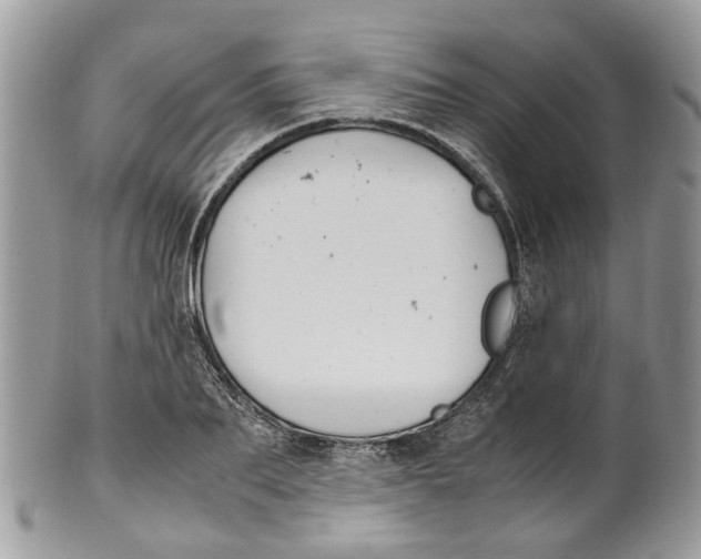 X0000099510887200806051144