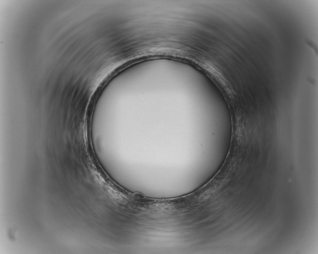 X0000099510888200806051144