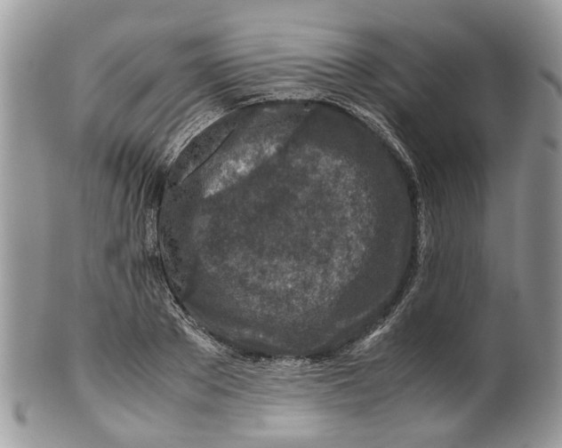 X0000099510889200806051144