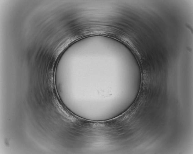 X0000099510890200806051144