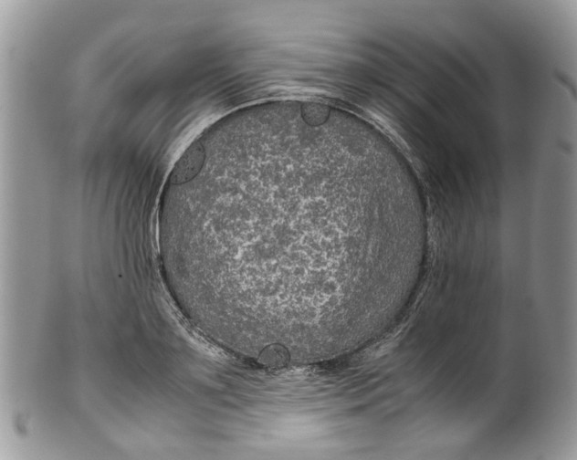 X0000099510891200806051144