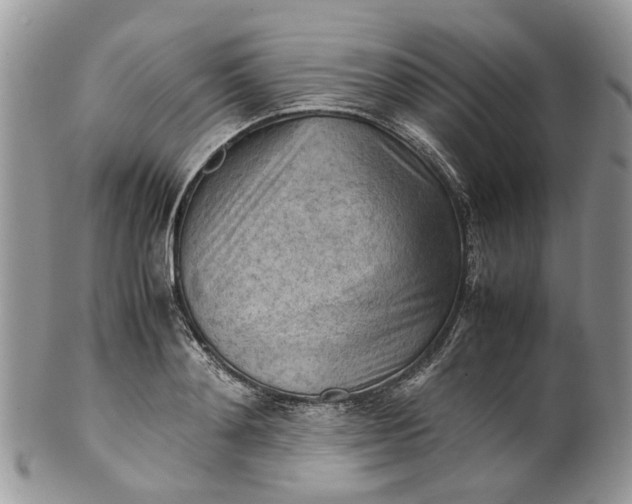 X0000099510892200806051144